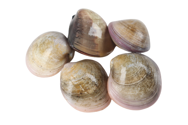 3__2_-removebg-preview