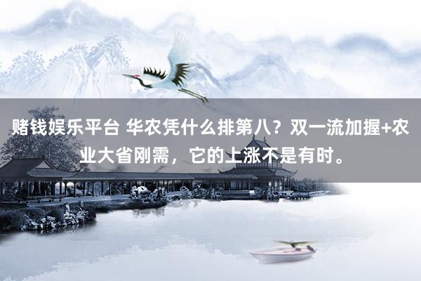 赌钱娱乐平台 华农凭什么排第八？双一流加握+农业大省刚需，它的上涨不是有时。