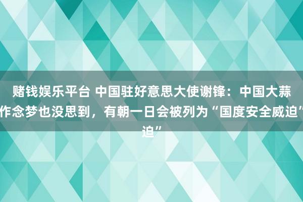 赌钱娱乐平台 中国驻好意思大使谢锋：中国大蒜作念梦也没思到，有朝一日会被列为“国度安全威迫”