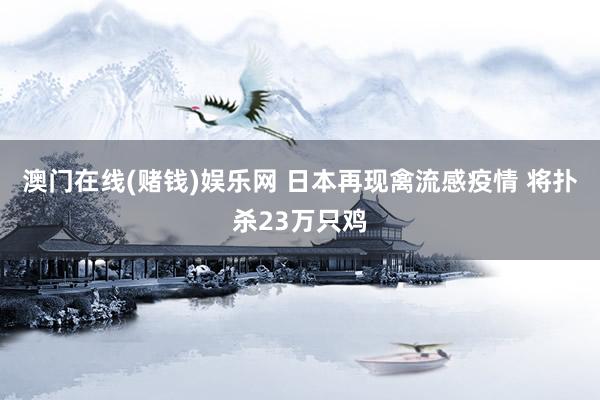澳门在线(赌钱)娱乐网 日本再现禽流感疫情 将扑杀23万只鸡