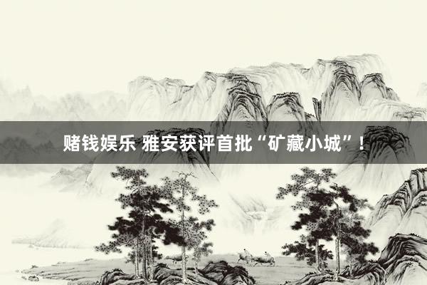 赌钱娱乐 雅安获评首批“矿藏小城”！