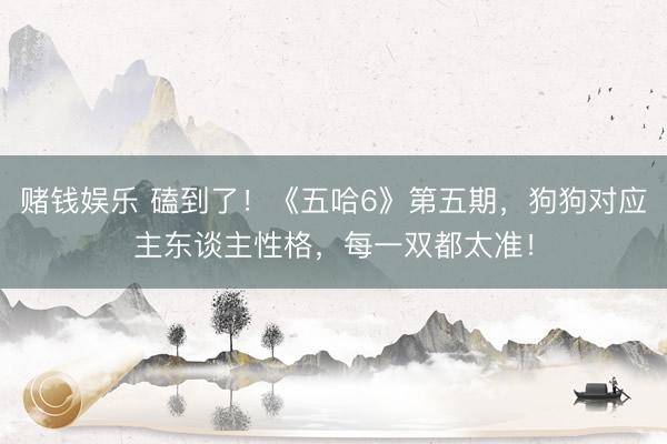 赌钱娱乐 磕到了！《五哈6》第五期，狗狗对应主东谈主性格，每一双都太准！