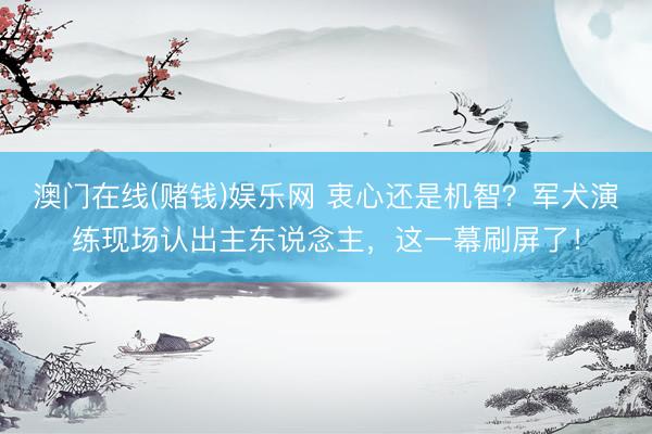 澳门在线(赌钱)娱乐网 衷心还是机智？军犬演练现场认出主东说念主，这一幕刷屏了！