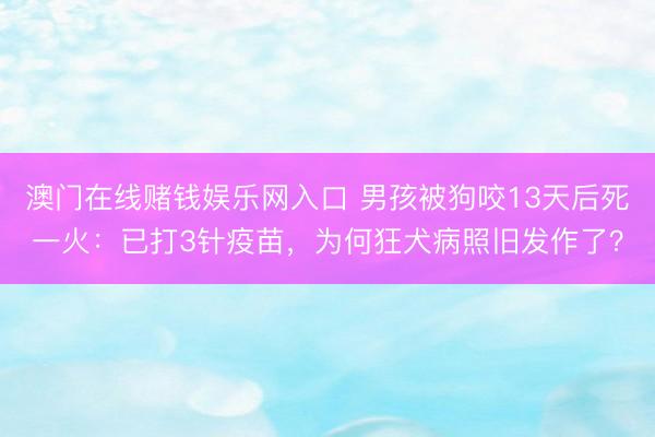 澳门在线赌钱娱乐网入口 男孩被狗咬13天后死一火：已打3针疫苗，为何狂犬病照旧发作了？
