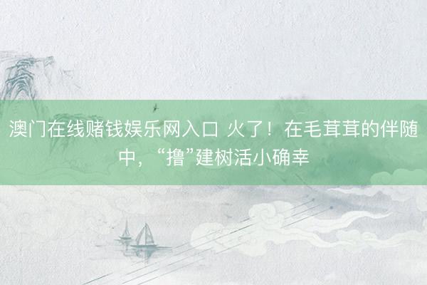 澳门在线赌钱娱乐网入口 火了！在毛茸茸的伴随中，“撸”建树活小确幸